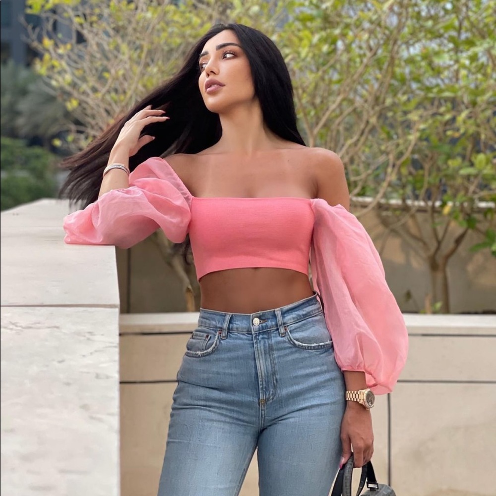 Zara combination organza knit top